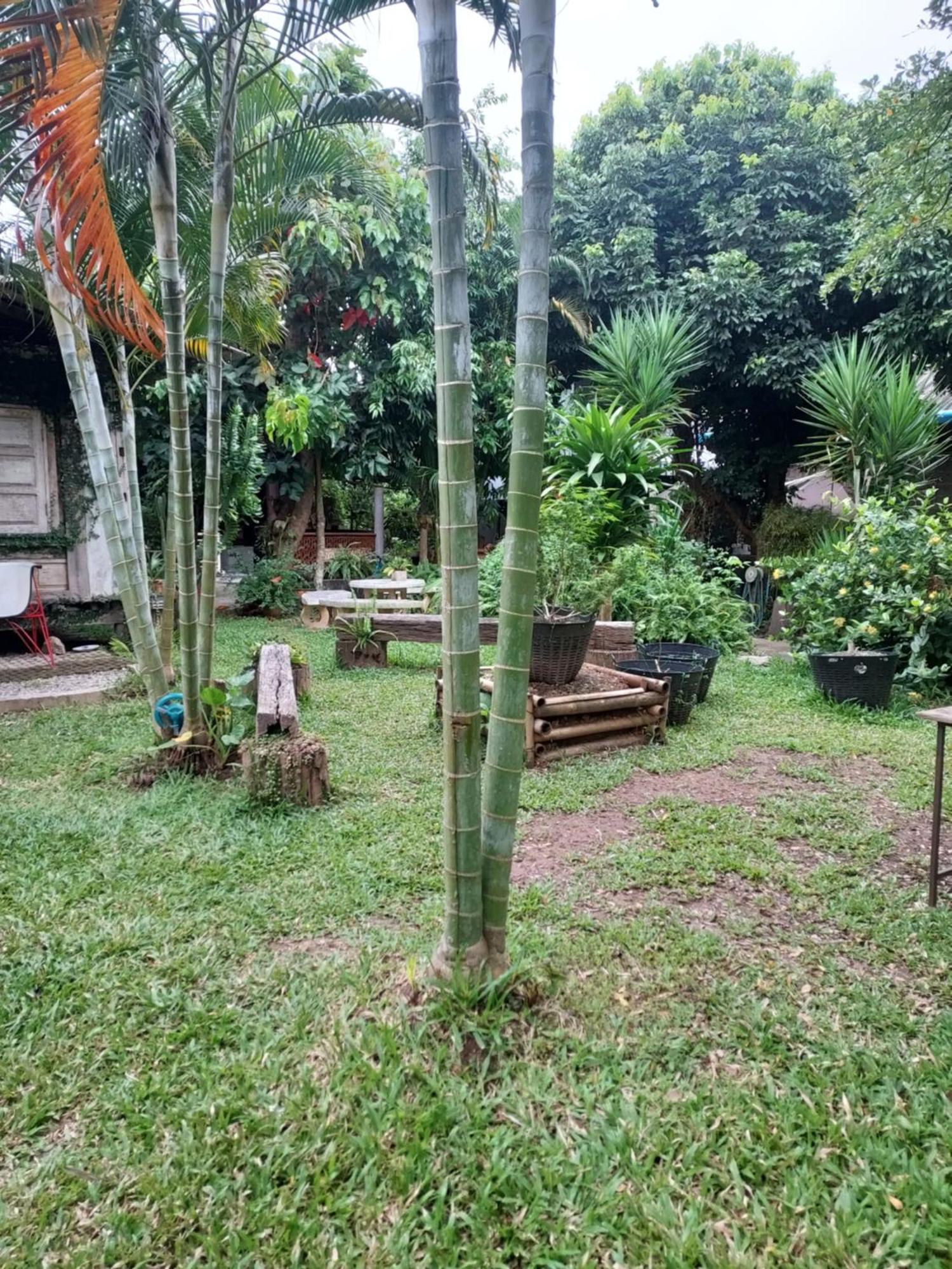 kwanlah homestay Mae Chaem Luaran gambar