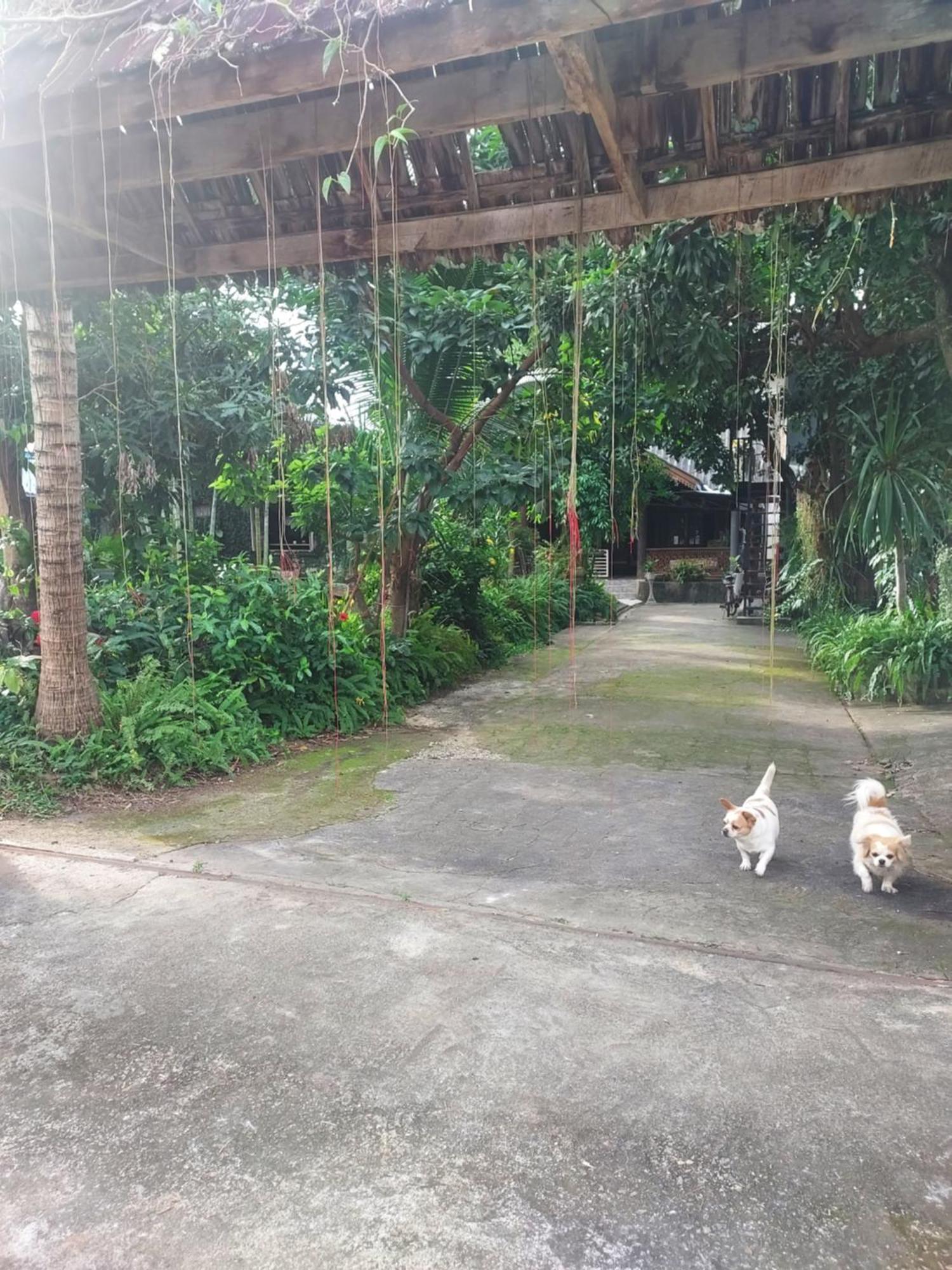 kwanlah homestay Mae Chaem Luaran gambar